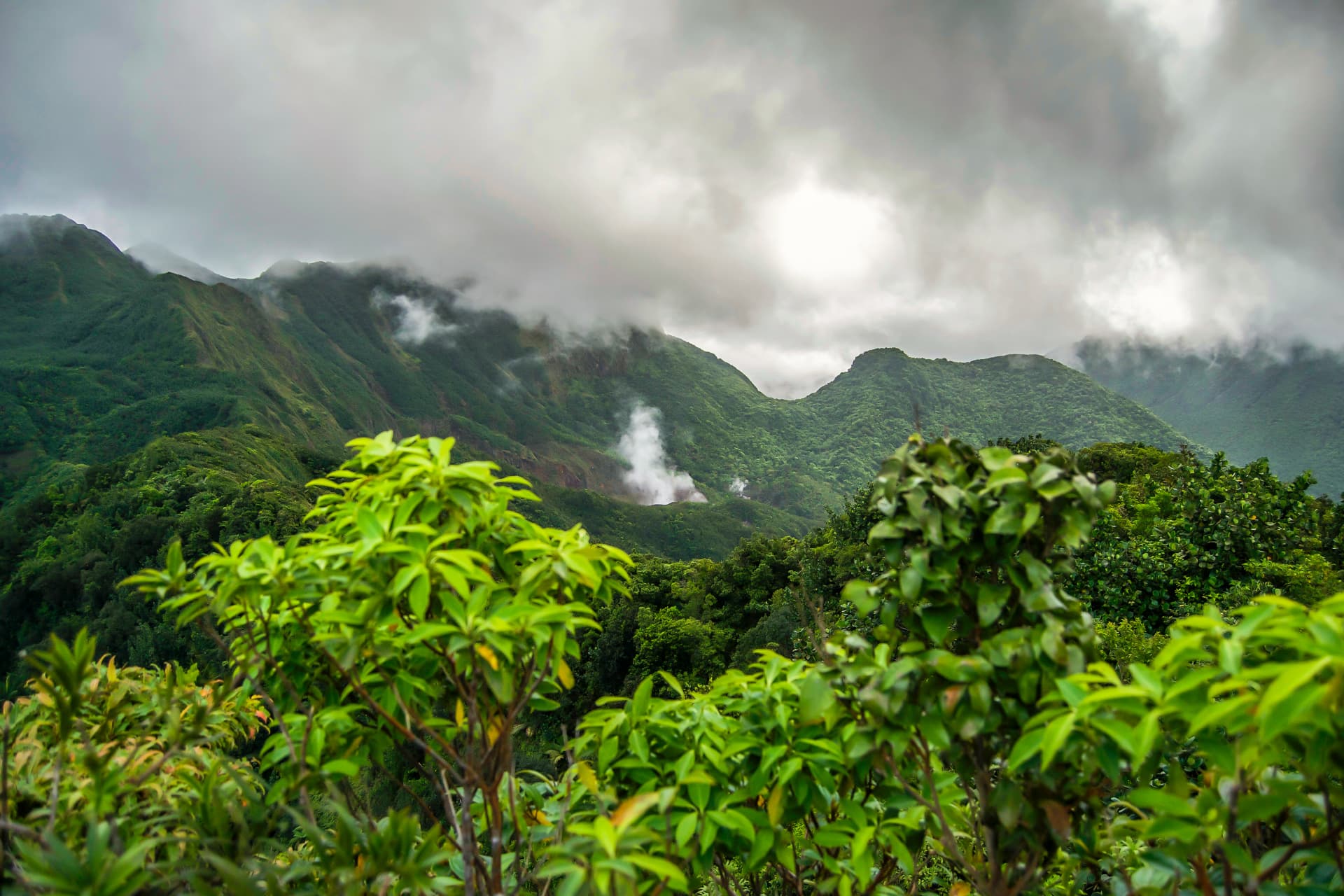 Waitukubuli Trail