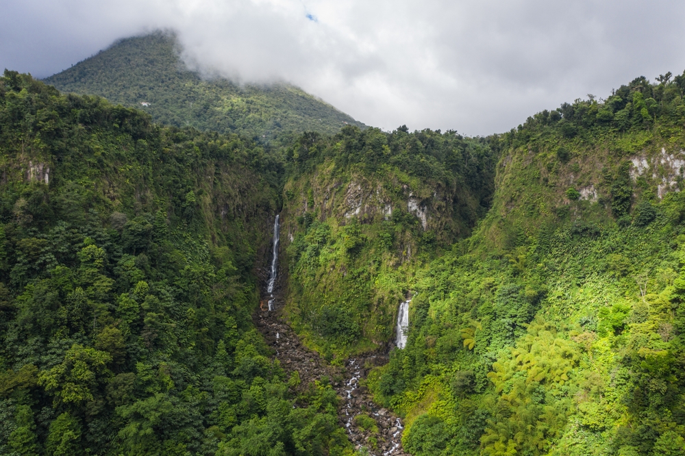 Twin Falls in the Mist