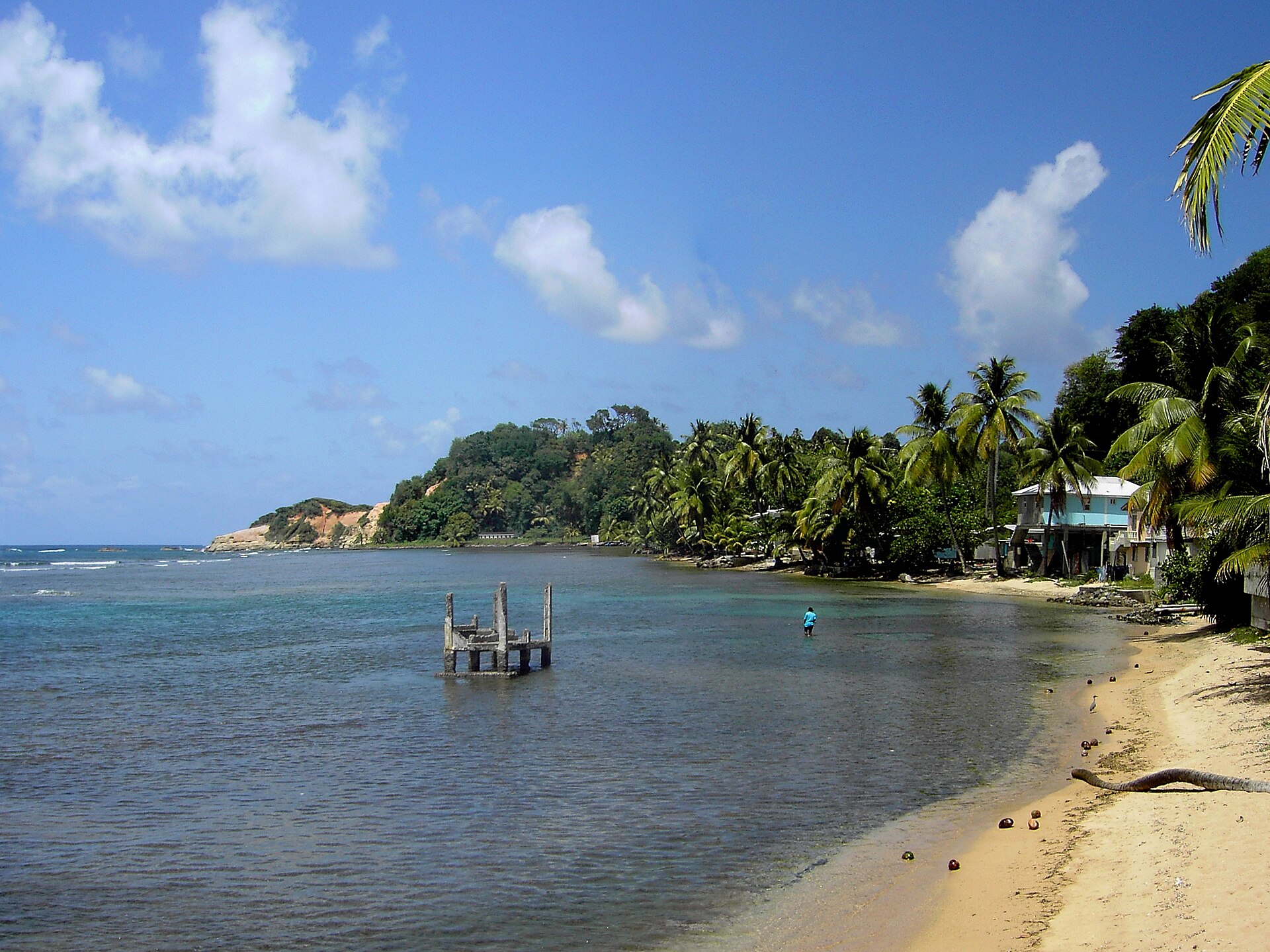Wooden jetty reaching into calm turquoise water in Dominica